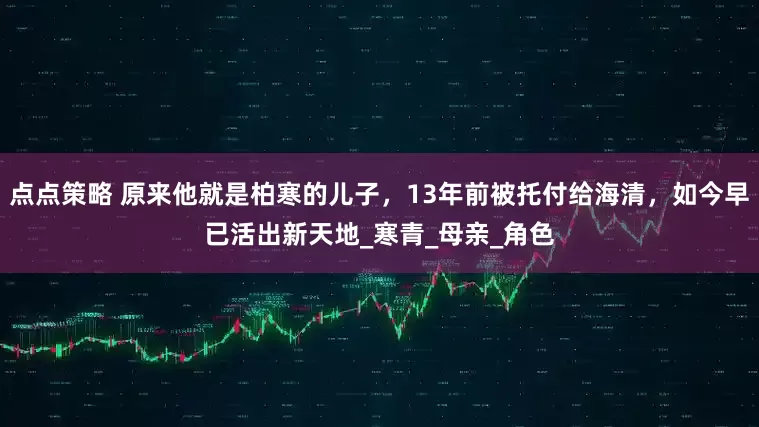 点点策略 原来他就是柏寒的儿子，13年前被托付给海清，如今早已活出新天地_寒青_母亲_角色